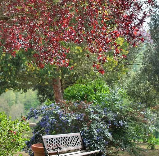 Castello Di Belforte Alloggio per agriturismo