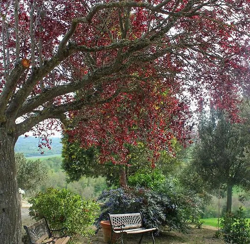 Castello Di Belforte *